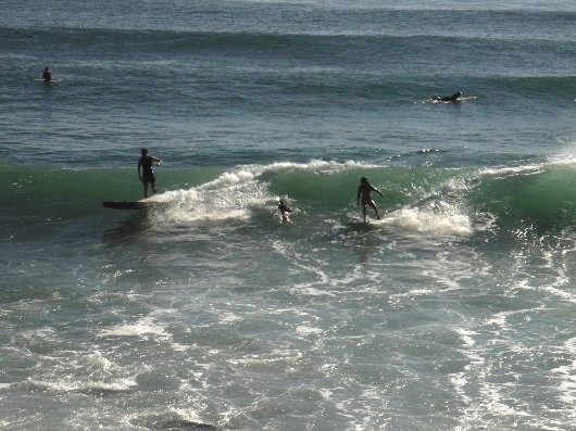 サーフィン用の波がいつも来る。